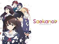 Saekano how raise gebraucht kaufen  Wird an jeden Ort in Deutschland