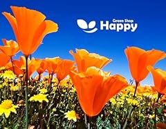 California poppy golden for sale  Delivered anywhere in UK