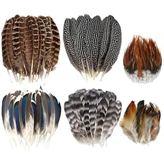 60pcs natural turkey for sale  Delivered anywhere in USA 