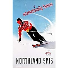 Vintage ski northland for sale  Delivered anywhere in USA 