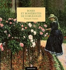 rosiere poele a bois d'occasion rosiere poele a bois d'occasion Livré partout en France