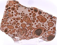 4.25 165g leopardite for sale  Delivered anywhere in USA 