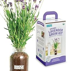 Back roots windowsill for sale  Delivered anywhere in USA 