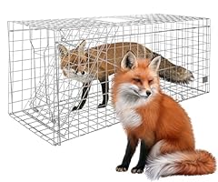 Large live animal for sale  Delivered anywhere in USA 