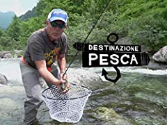 Destinazione pesca usato  Spedito ovunque in Italia 