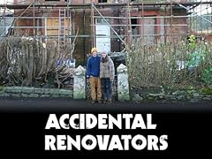 Accidental renovators for sale  Delivered anywhere in USA 