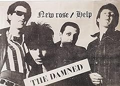 Damned new rose for sale  Delivered anywhere in UK