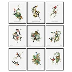 Decor bird wall for sale  Delivered anywhere in USA 