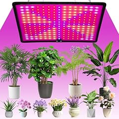 Withosent 225 leds d'occasion  Livré partout en France