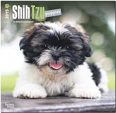 Shih tzu puppies gebraucht kaufen  Wird an jeden Ort in Deutschland