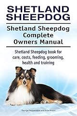 Shetland sheepdog dog. for sale  Delivered anywhere in UK