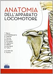 Anatomia dell apparato usato  Spedito ovunque in Italia 