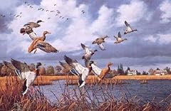 David maass prairie for sale  Delivered anywhere in USA 