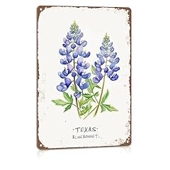 Alrear texas bluebonnet for sale  Delivered anywhere in USA 