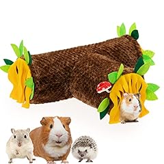 Orzechko guinea pig for sale  Delivered anywhere in USA 