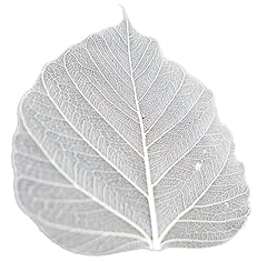 50pcs bodhi leaf for sale  Delivered anywhere in UK