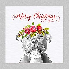 Staffordshire bull terrier for sale  Delivered anywhere in UK