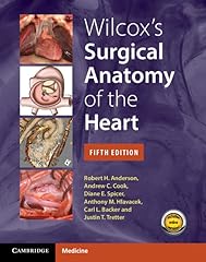 Wilcox surgical anatomy for sale  Delivered anywhere in UK