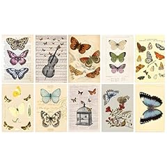 10pcs vintage botanical for sale  Delivered anywhere in UK