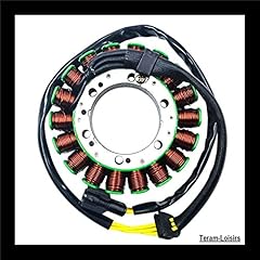 Teram loisirs stator d'occasion  Livré partout en France