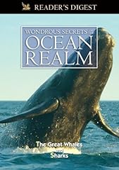 Wondrous secrets ocean for sale  Delivered anywhere in USA 
