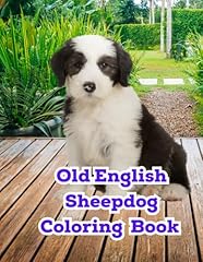 Old english sheepdog for sale  Delivered anywhere in UK