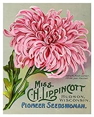 Vintage garden seed for sale  Delivered anywhere in USA 