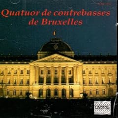Contrebasses bruxelles d'occasion  Livré partout en Belgiqu