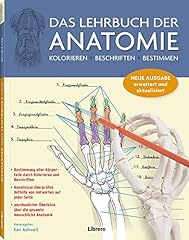 Lehrbuch anatomie kolorieren gebraucht kaufen  Wird an jeden Ort in Deutschland