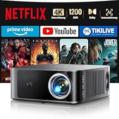 Beamer ffizielles netflix gebraucht kaufen  Wird an jeden Ort in Deutschland
