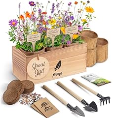 Avergo wildflower seed for sale  Delivered anywhere in USA 