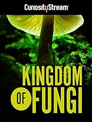 Kingdom fungi made for sale  Delivered anywhere in USA 