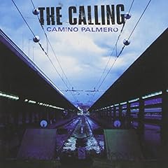 Camino palmero usato  Spedito ovunque in Italia 