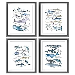Watercolor rustic sharks for sale  Delivered anywhere in USA 