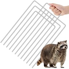 Qualirey trap divider for sale  Delivered anywhere in USA 