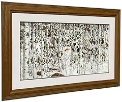 Bev doolittle woodland for sale  Delivered anywhere in USA 