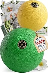 Heldson premium faszienball gebraucht kaufen  Wird an jeden Ort in Deutschland