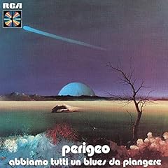 Abbiamo tutti blues usato  Spedito ovunque in Italia 