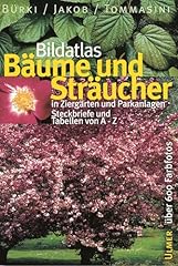Bäume sträucher ziergärten gebraucht kaufen  Wird an jeden Ort in Deutschland