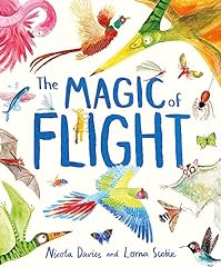 Magic flight discover for sale  Delivered anywhere in UK