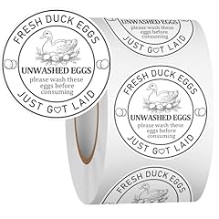 Louise maelys 2inch for sale  Delivered anywhere in USA 