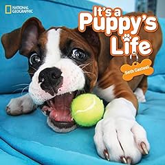 Puppy life for sale  Delivered anywhere in USA 