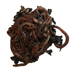 250 red wiggler for sale  Delivered anywhere in USA 