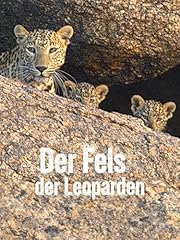 Fels leoparden gebraucht kaufen  Wird an jeden Ort in Deutschland