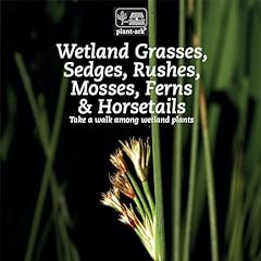 Wetland grasses sedges for sale  Delivered anywhere in USA 