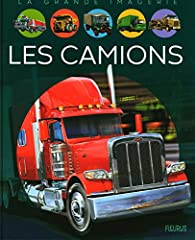 camions betailleres d'occasion  Livré partout en France
