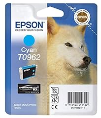 Epson t096240 inkjet usato  Spedito ovunque in Italia 