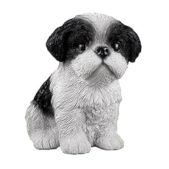 Parliky shih tzu for sale  Delivered anywhere in USA 