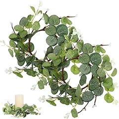 Garneck stück eukalyptus gebraucht kaufen  Wird an jeden Ort in Deutschland