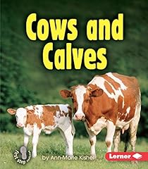 Cows calves for sale  Delivered anywhere in USA 